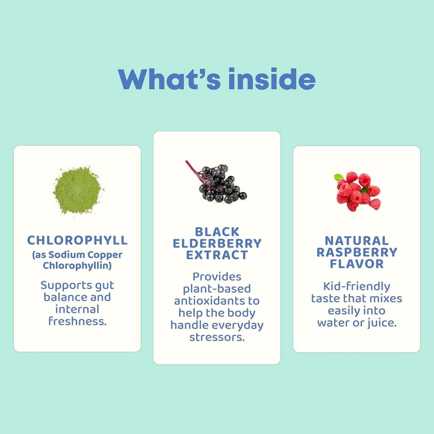 JoySpring Liquid Chlorophyll Drops for Kids | Super Greens for Kids Infused with Elderberry & Chlorophyll for Bad Breath | Sugar Free Body Deodorizing Supplement (1 fl oz, Berry Flavor, 30 Servings)